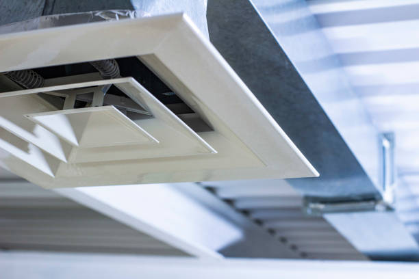 Air Duct Mold Removal in Jekyll Island, GA