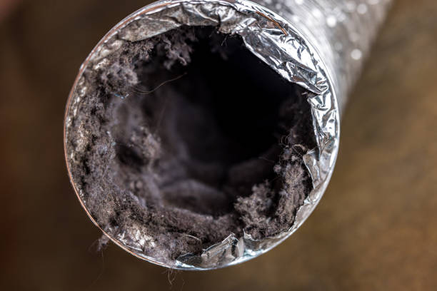 Best Ductwork Cleaning Services  in Jekyll Island, GA