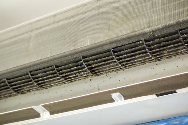 Best HVAC Air Duct Cleaning  in Jekyll Island, GA